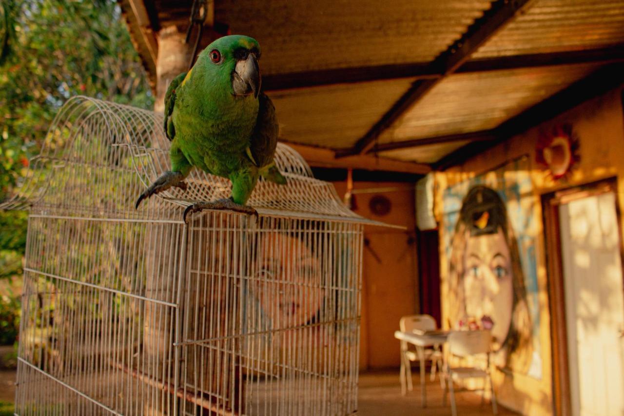 La Casa Del Artista Διαμέρισμα Esquipulas Εξωτερικό φωτογραφία